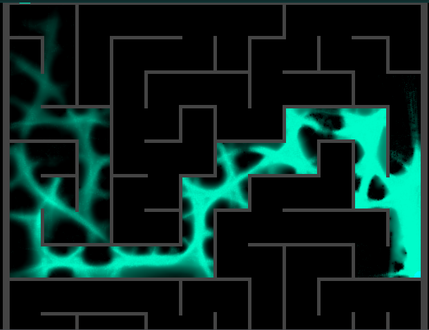 Slime Mold Maze